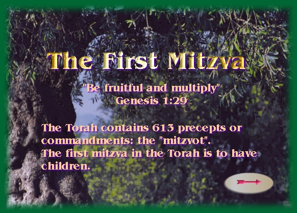 The First Mitzva